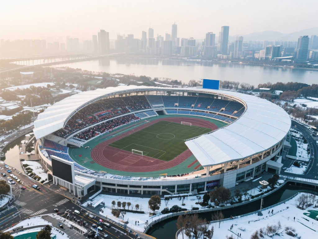 作为队内的 作为队内的